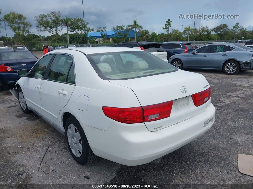 2005 Honda Accord Sdn Lx Белый vin: 1HGCM56445A134490