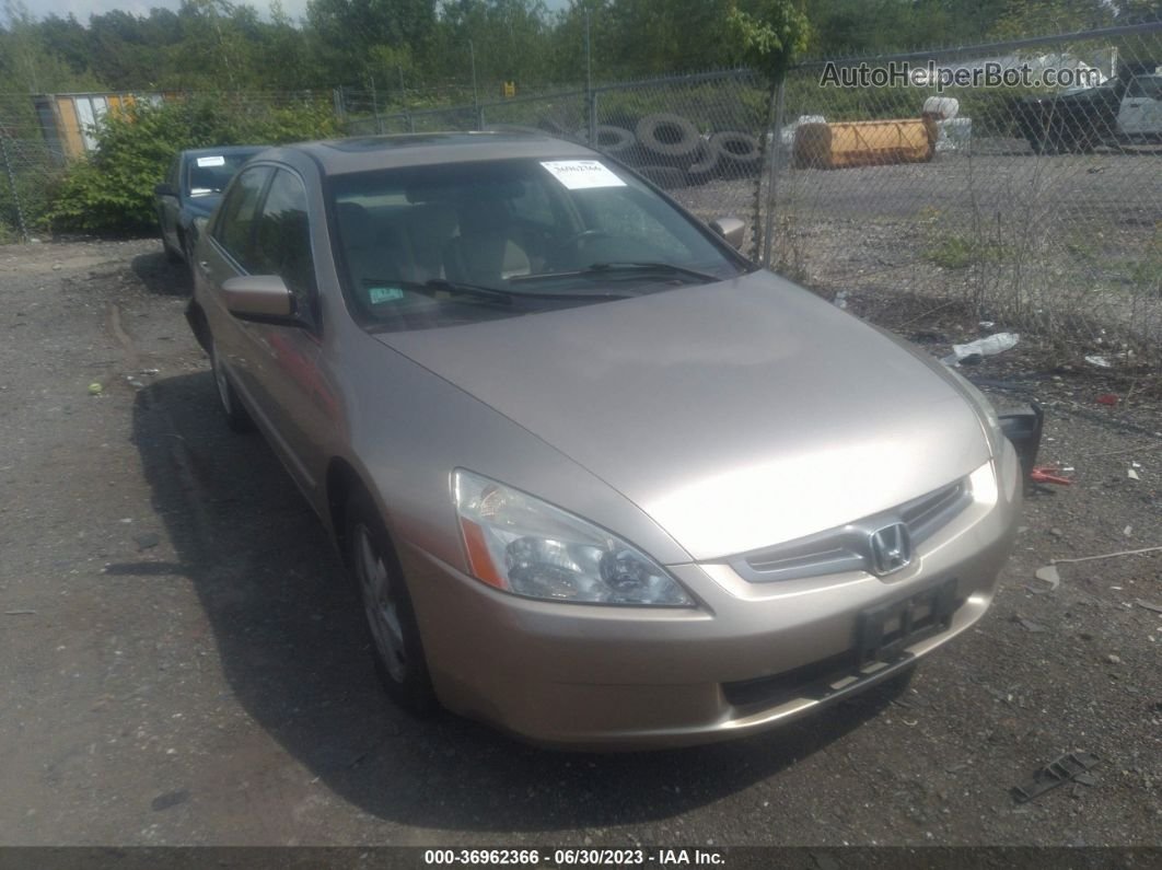 2003 Honda Accord Sdn Ex Gold vin: 1HGCM56693A129865