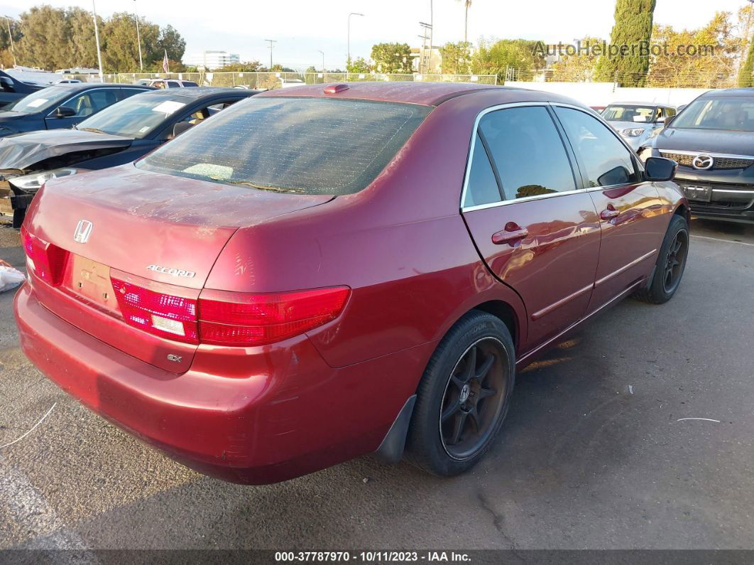 2005 Honda Accord Sdn Ex/ex-l With Navi Бордовый vin: 1HGCM56705A087100