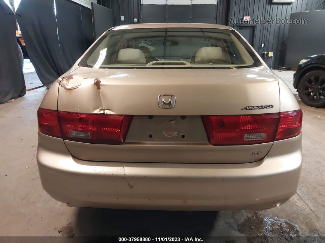 2005 Honda Accord Sdn Ex/ex-l With Navi Beige vin: 1HGCM56705A102856