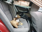 2007 Honda Accord Ex Темно-бордовый vin: 1HGCM56717A069465