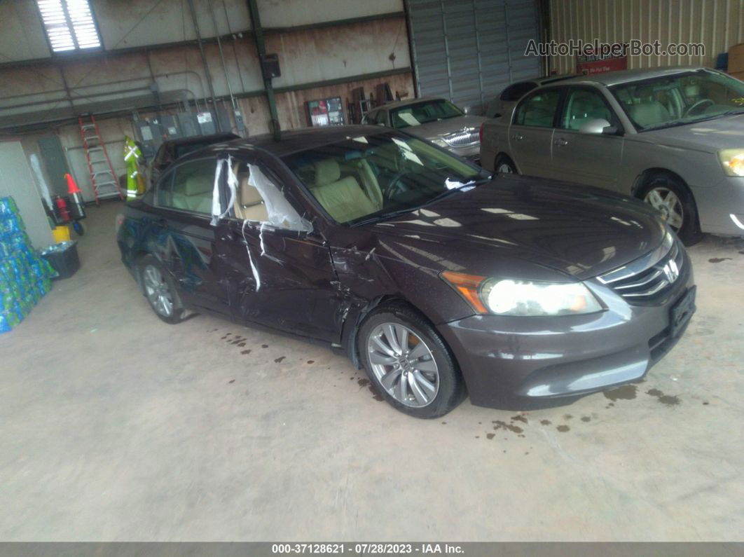 2005 Honda Accord Sdn Ex/ex-l With Navi Dark Brown vin: 1HGCM56795A119199