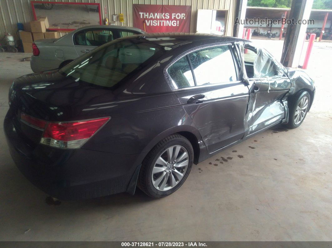 2005 Honda Accord Sdn Ex/ex-l With Navi Dark Brown vin: 1HGCM56795A119199