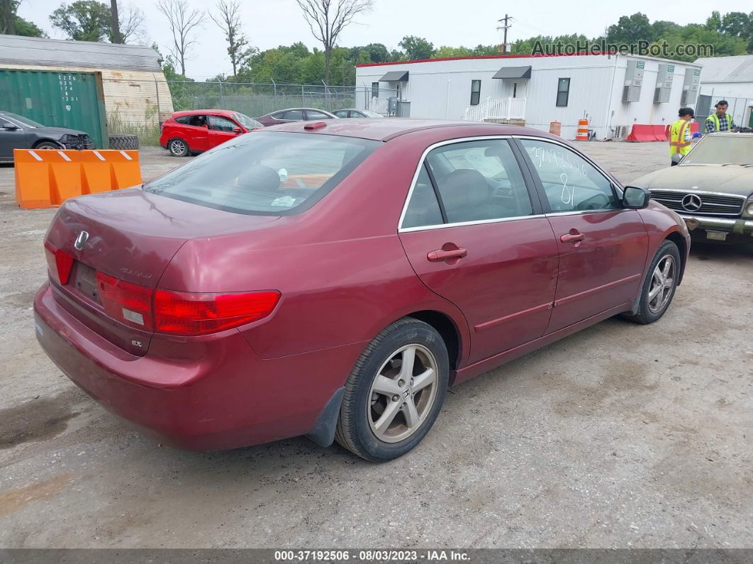 2005 Honda Accord Sdn Ex-l Burgundy vin: 1HGCM56805A123828