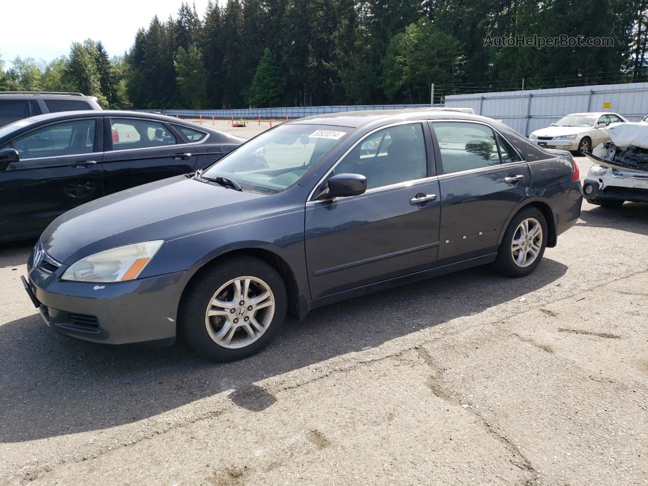 2007 Honda Accord Ex Gray vin: 1HGCM56807A059180