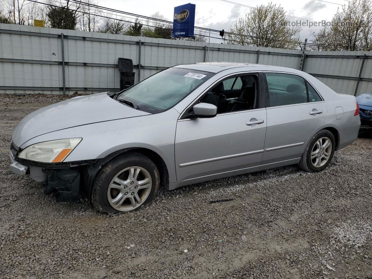 2007 Honda Accord Ex Серебряный vin: 1HGCM56817A037169