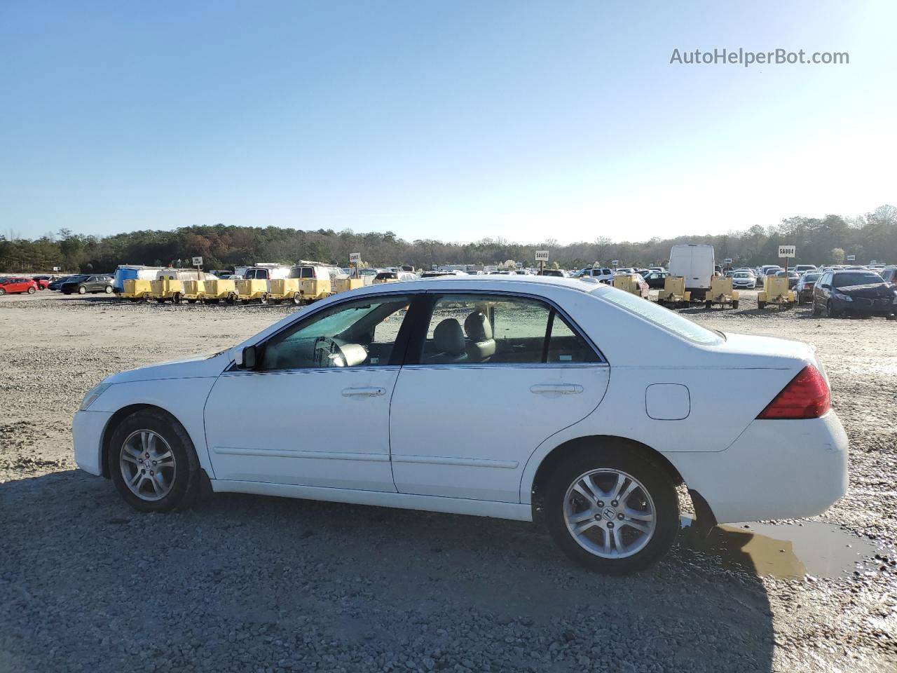 2007 Honda Accord Ex White vin: 1HGCM56827A021126