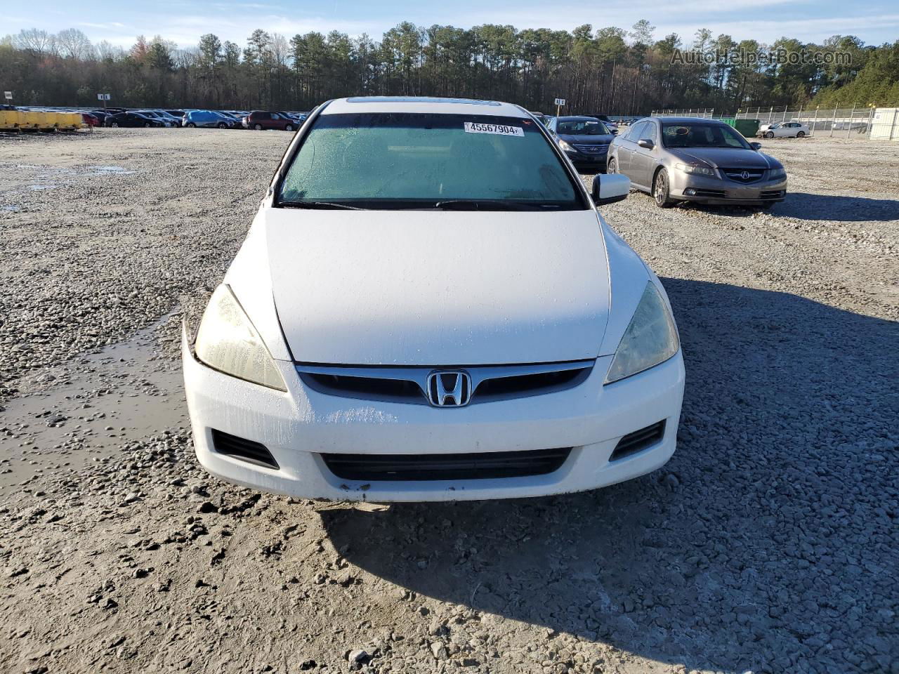 2007 Honda Accord Ex White vin: 1HGCM56827A021126