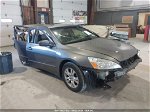 2007 Honda Accord 2.4 Ex Серый vin: 1HGCM56827A163203