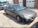 2007 Honda Accord 2.4 Ex Gray vin: 1HGCM56867A048636