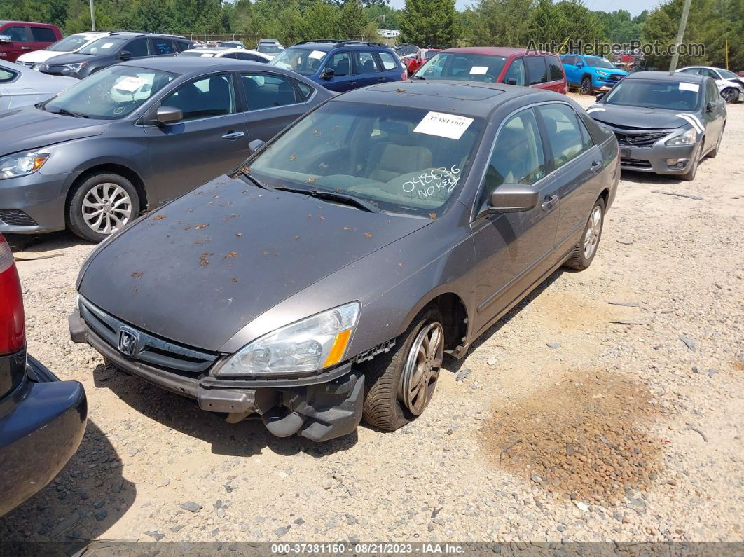 2007 Honda Accord 2.4 Ex Gray vin: 1HGCM56867A048636