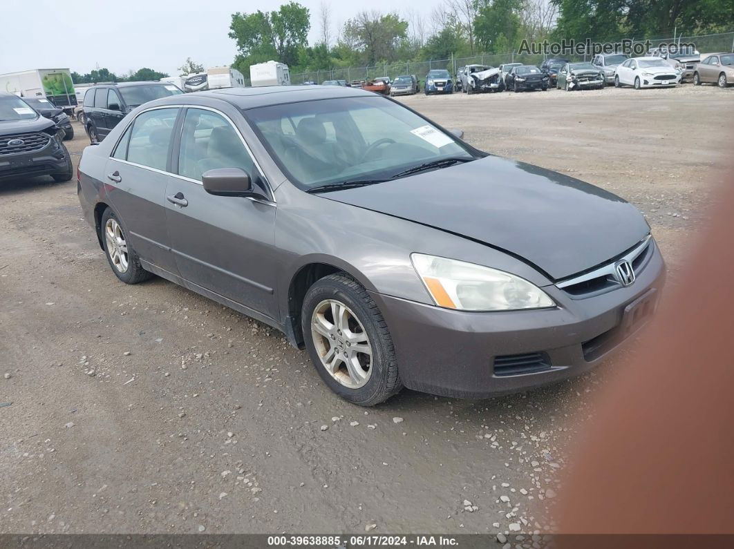 2007 Honda Accord 2.4 Ex Gray vin: 1HGCM56867A071558