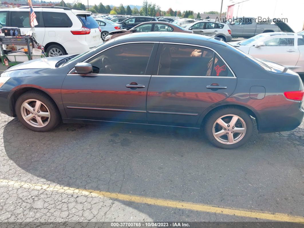 2005 Honda Accord Sdn Ex-l Gray vin: 1HGCM56895A133709