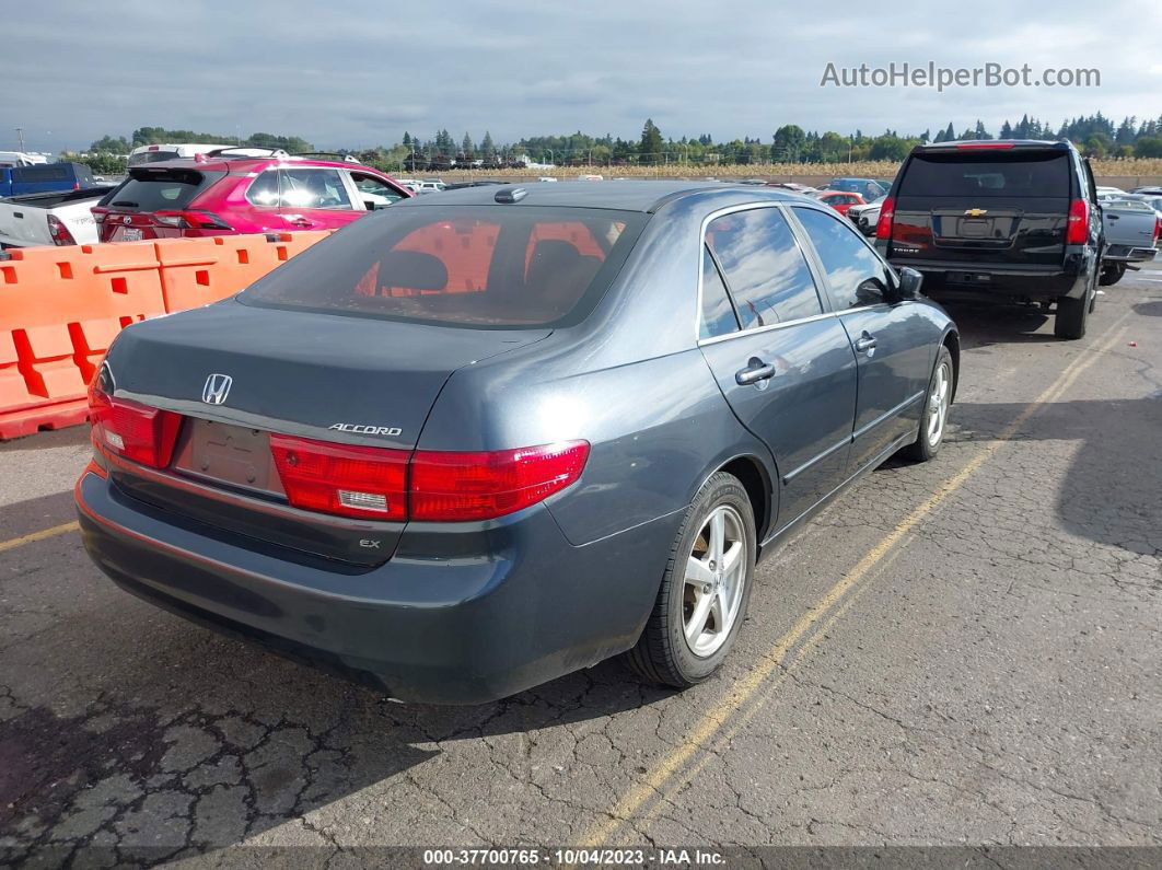 2005 Honda Accord Sdn Ex-l Gray vin: 1HGCM56895A133709