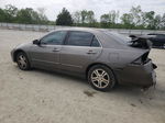 2007 Honda Accord Ex Gray vin: 1HGCM568X7A088847