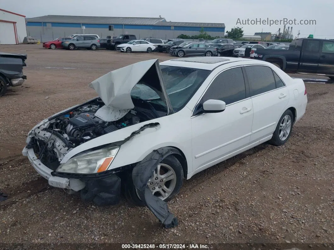 2007 Honda Accord 2.4 Ex Белый vin: 1HGCM568X7A118333