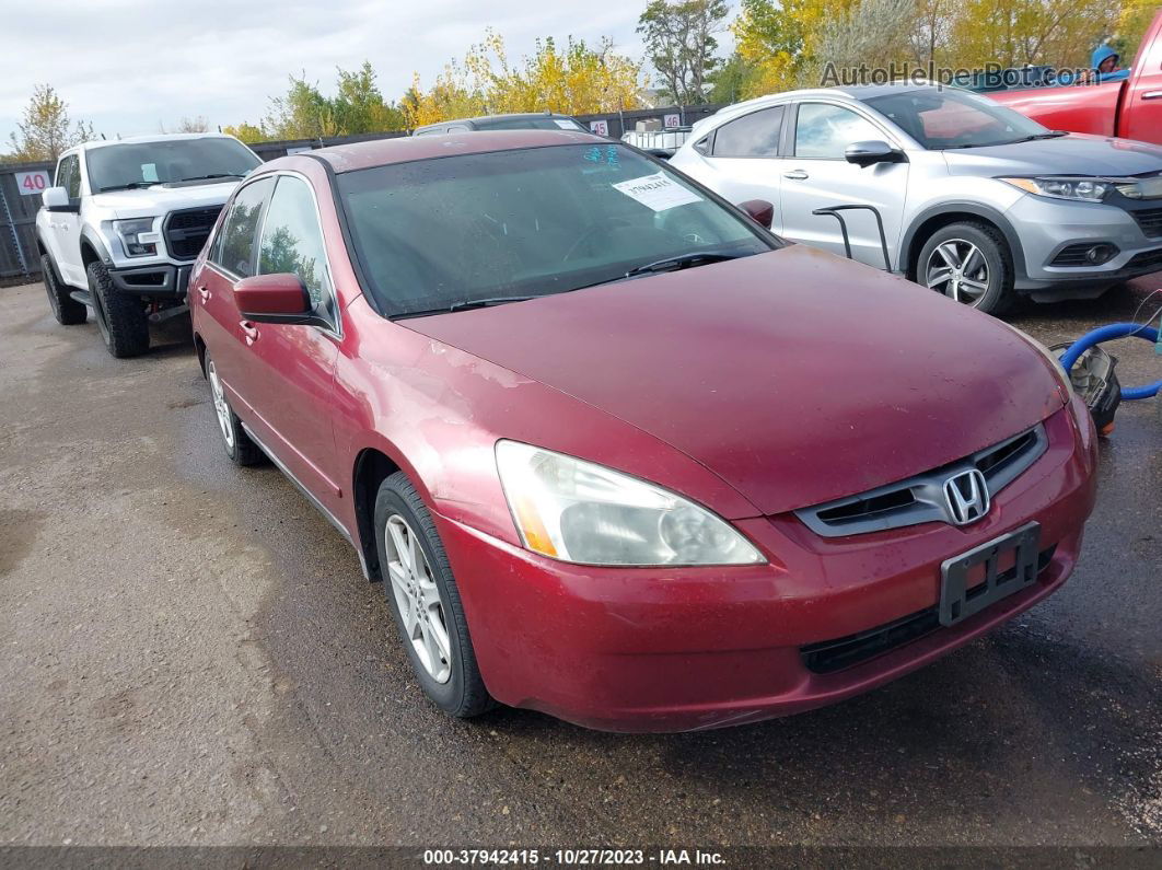 2003 Honda Accord Sdn Lx Красный vin: 1HGCM663X3A078226