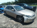 2003 Honda Accord Sdn Gold vin: 1HGCM66453A803272