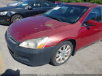 2007 Honda Accord 3.0 Se Red vin: 1HGCM66467A023934