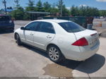 2007 Honda Accord 3.0 Se White vin: 1HGCM66487A062413