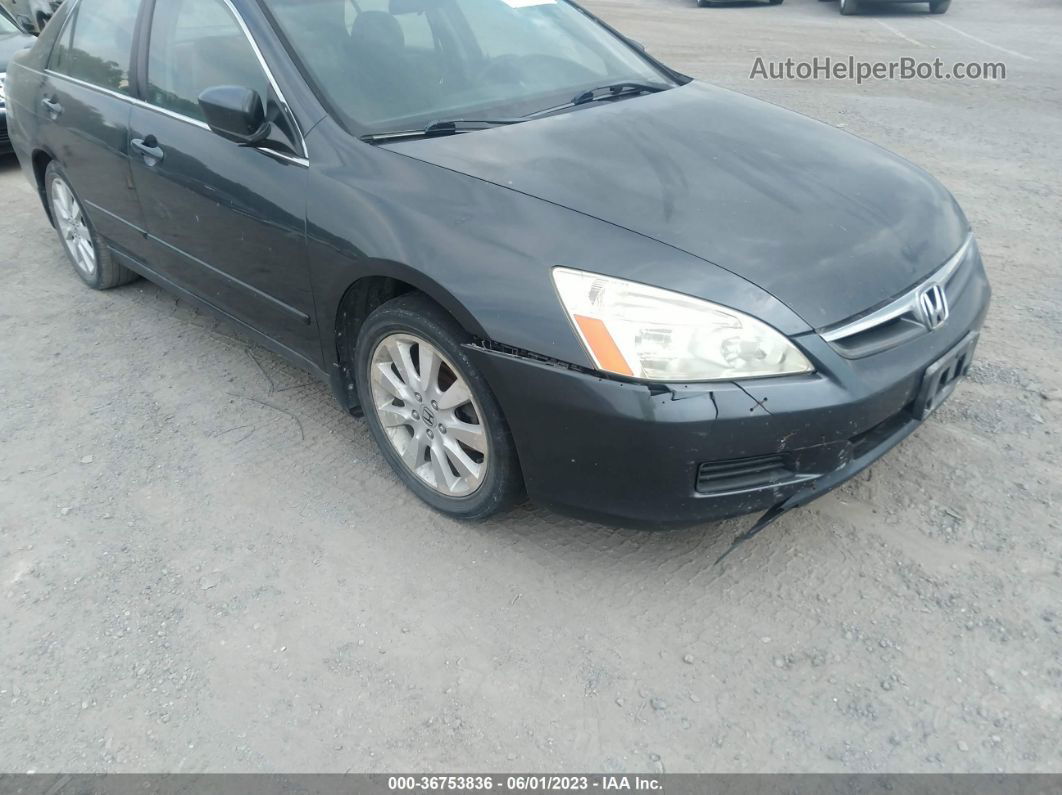 2007 Honda Accord Sdn Lx Se Серый vin: 1HGCM664X7A015402