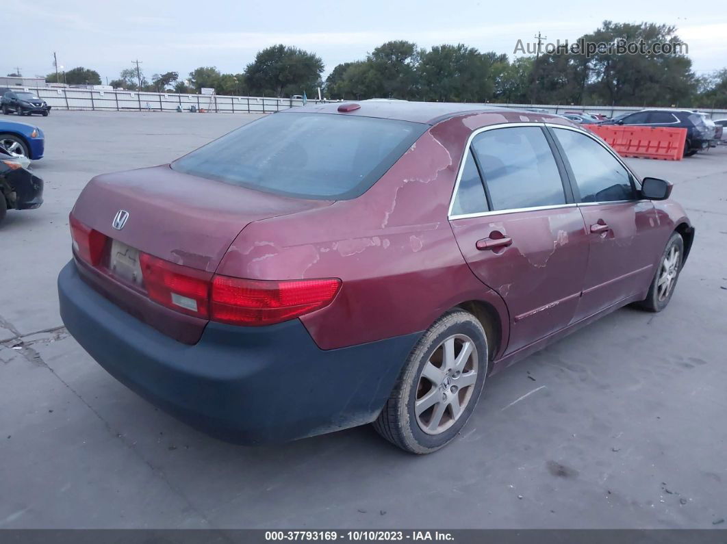 2005 Honda Accord Sdn Ex-l V6 Maroon vin: 1HGCM66505A026737