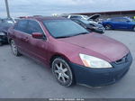 2005 Honda Accord Sdn Ex-l V6 Maroon vin: 1HGCM66505A026737