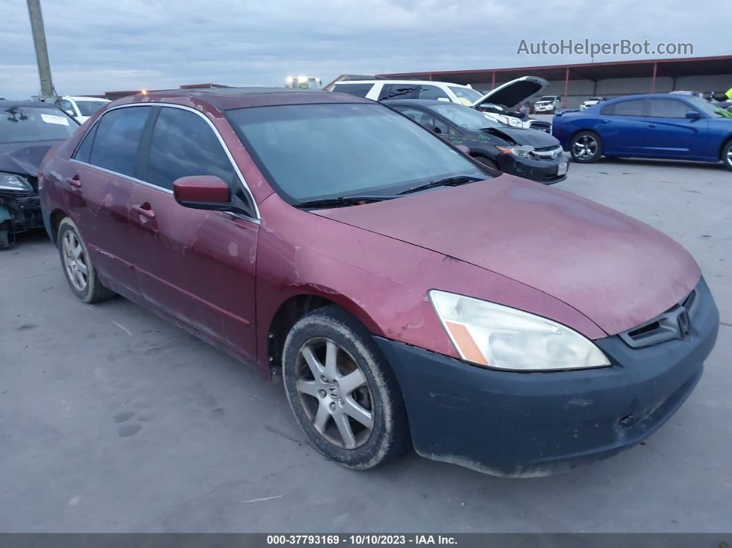 2005 Honda Accord Sdn Ex-l V6 Maroon vin: 1HGCM66505A026737