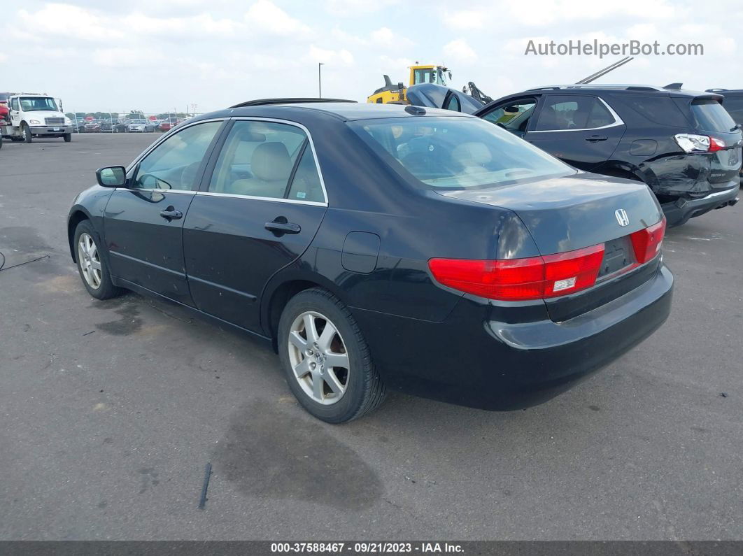 2005 Honda Accord Ex-l V6 Black vin: 1HGCM66505A054716