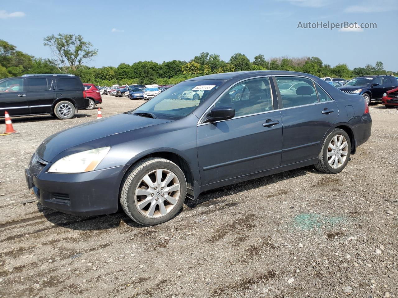 2007 Honda Accord Ex Gray vin: 1HGCM66507A006541