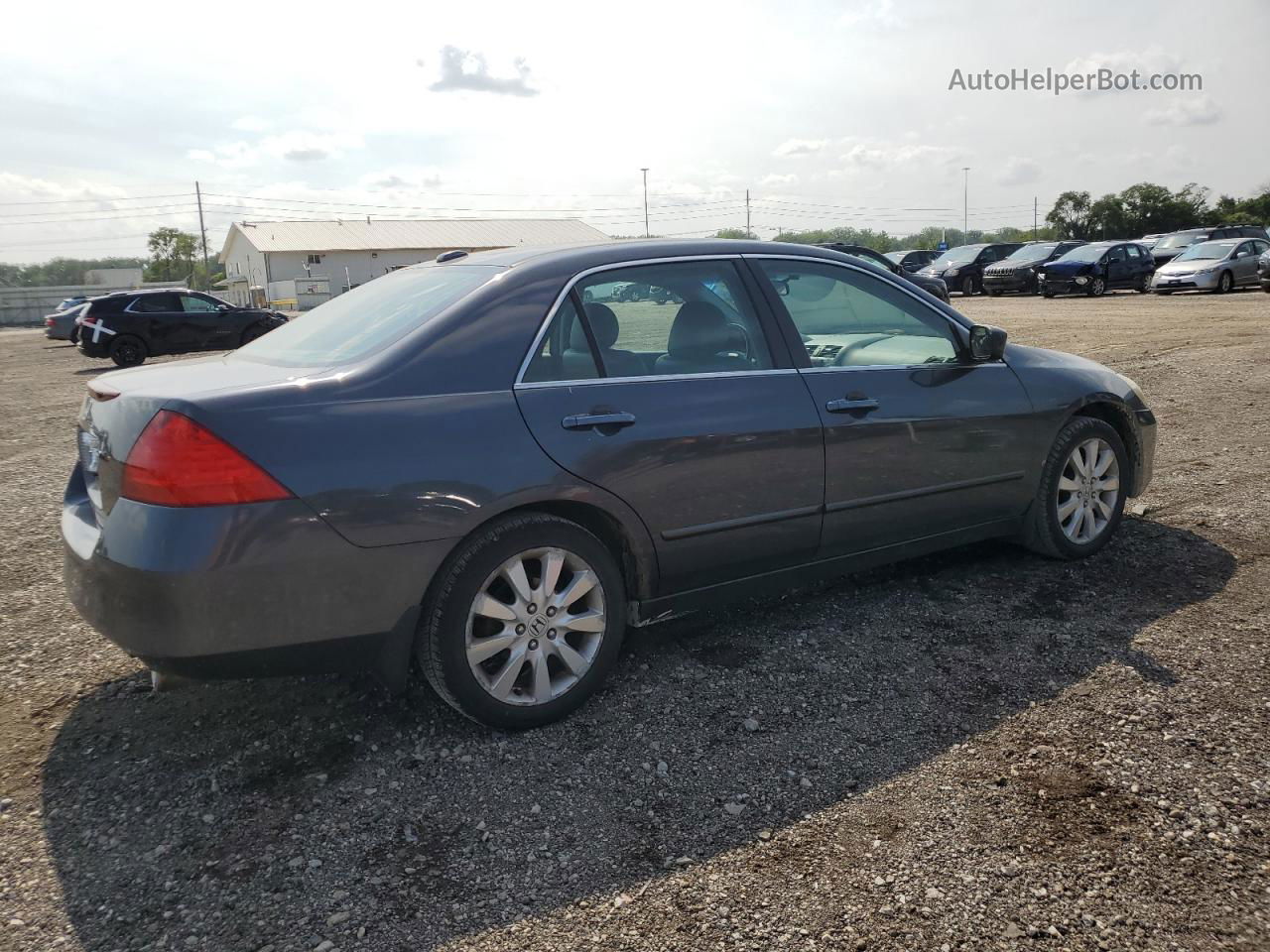 2007 Honda Accord Ex Gray vin: 1HGCM66507A006541