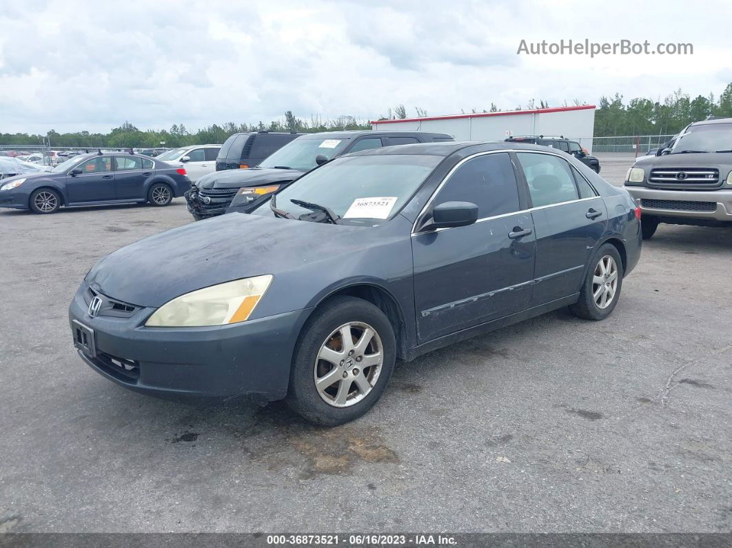 2005 Honda Accord Sdn Ex-l V6 Gray vin: 1HGCM66515A028786