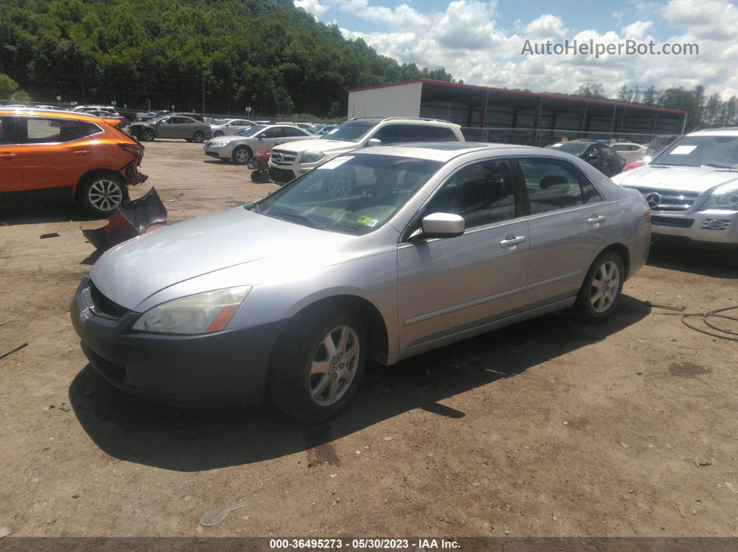 2005 Honda Accord Sdn Ex-l V6 Silver vin: 1HGCM66515A036399