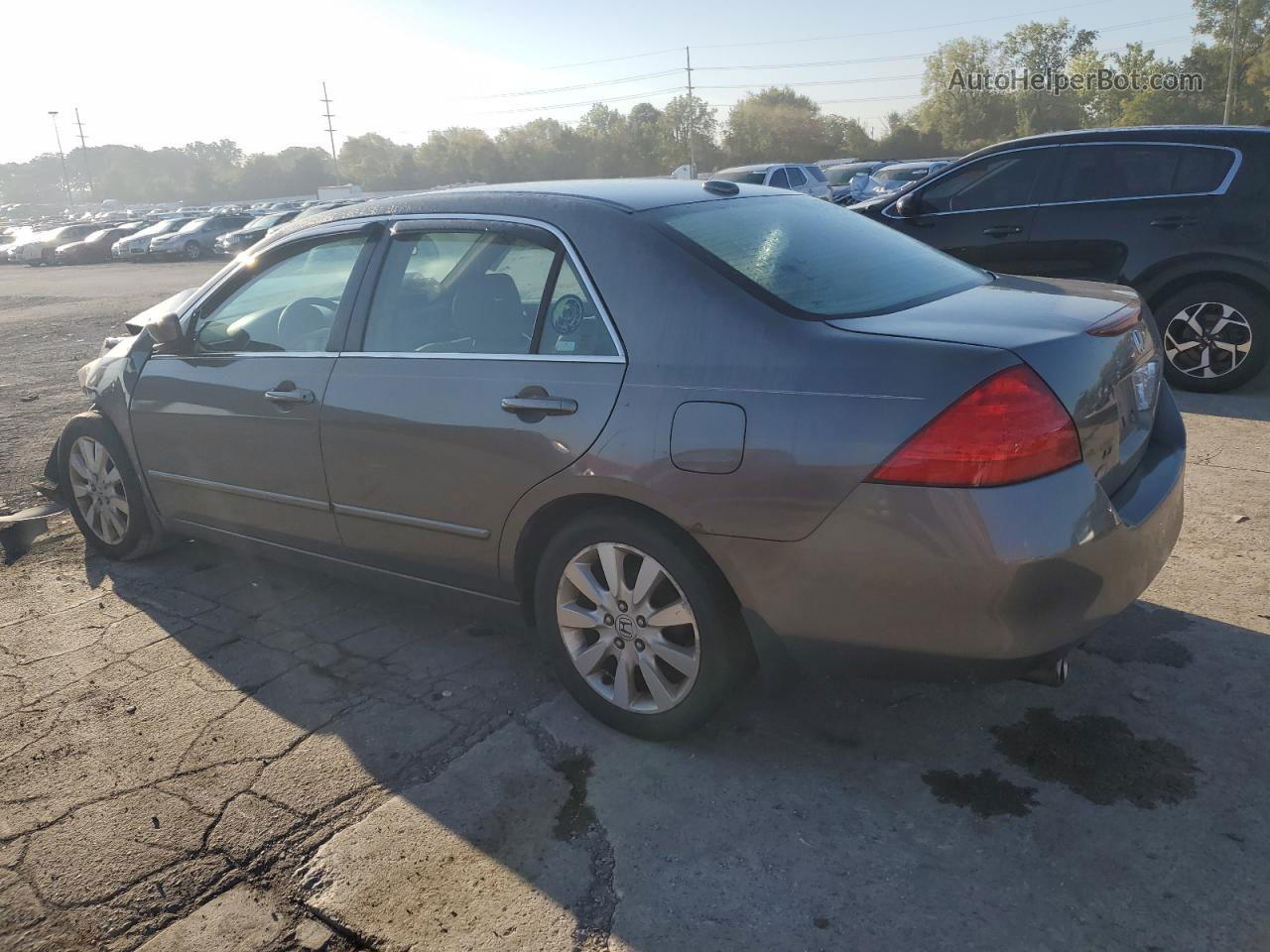 2007 Honda Accord Ex Gray vin: 1HGCM66517A077215