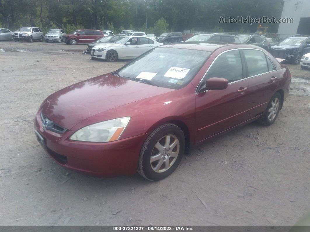 2005 Honda Accord Sdn Ex-l V6 Red vin: 1HGCM66525A011057