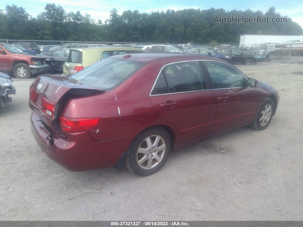 2005 Honda Accord Sdn Ex-l V6 Red vin: 1HGCM66525A011057