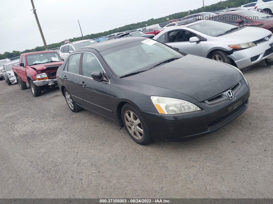 2005 Honda Accord Sdn Ex-l V6 Black vin: 1HGCM66525A040610