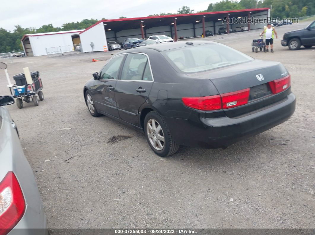 2005 Honda Accord Sdn Ex-l V6 Black vin: 1HGCM66525A040610