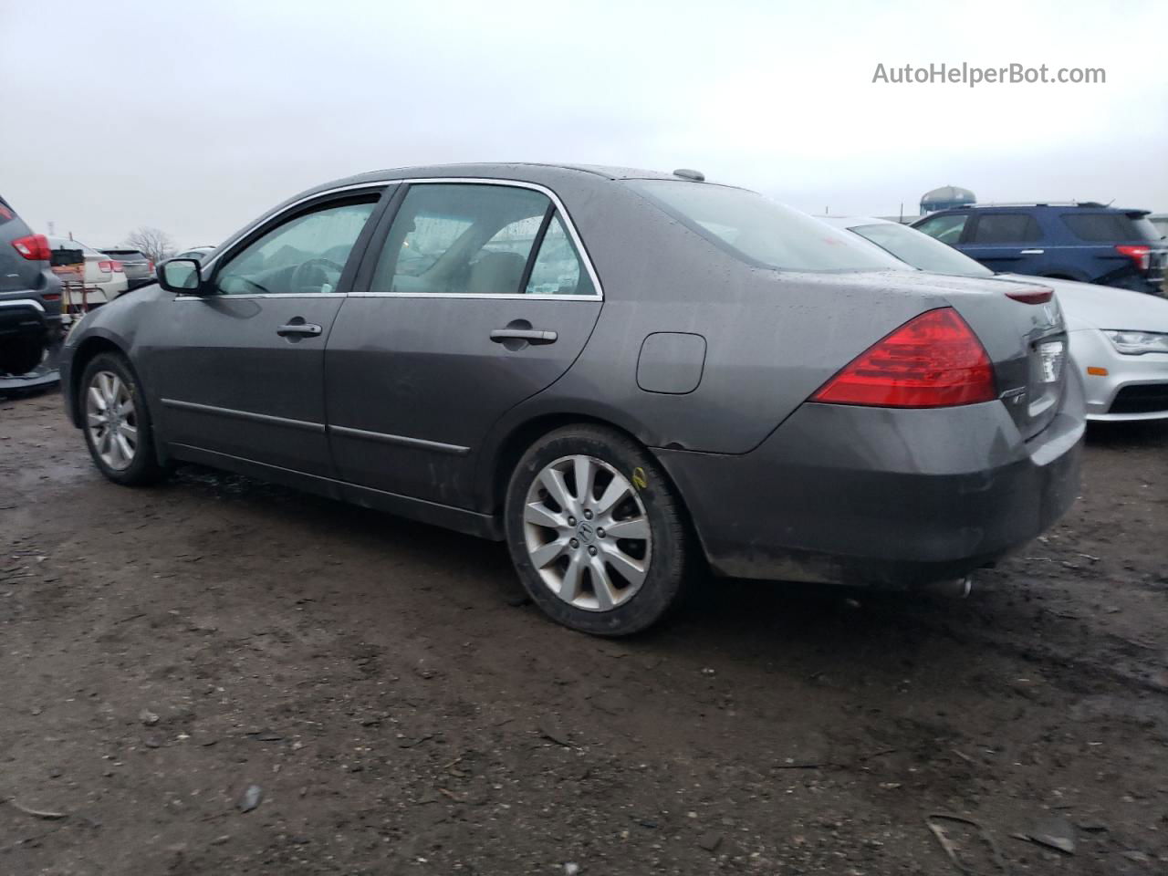 2007 Honda Accord Ex Gray vin: 1HGCM66527A029626