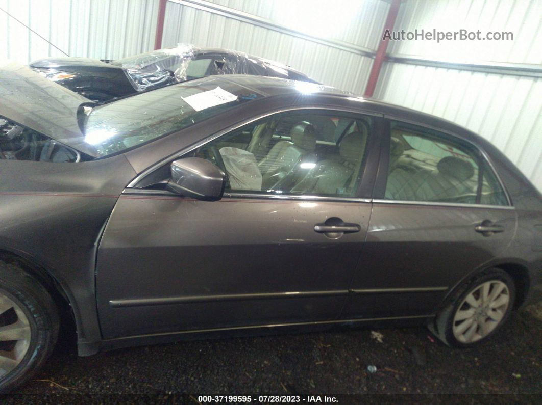 2007 Honda Accord Sdn Ex-l Brown vin: 1HGCM66527A049178