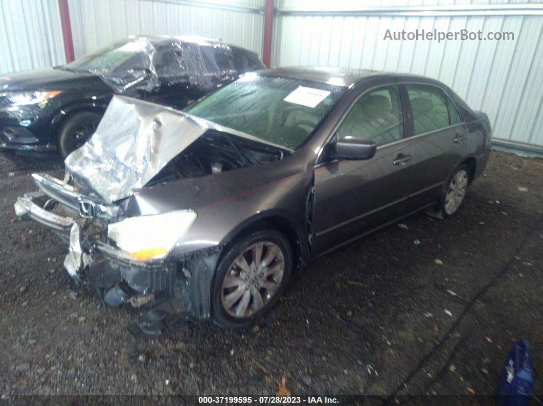 2007 Honda Accord Sdn Ex-l Brown vin: 1HGCM66527A049178