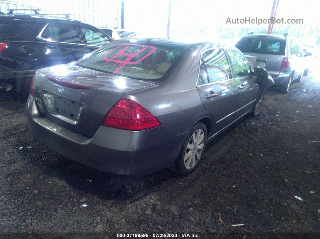 2007 Honda Accord Sdn Ex-l Brown vin: 1HGCM66527A049178