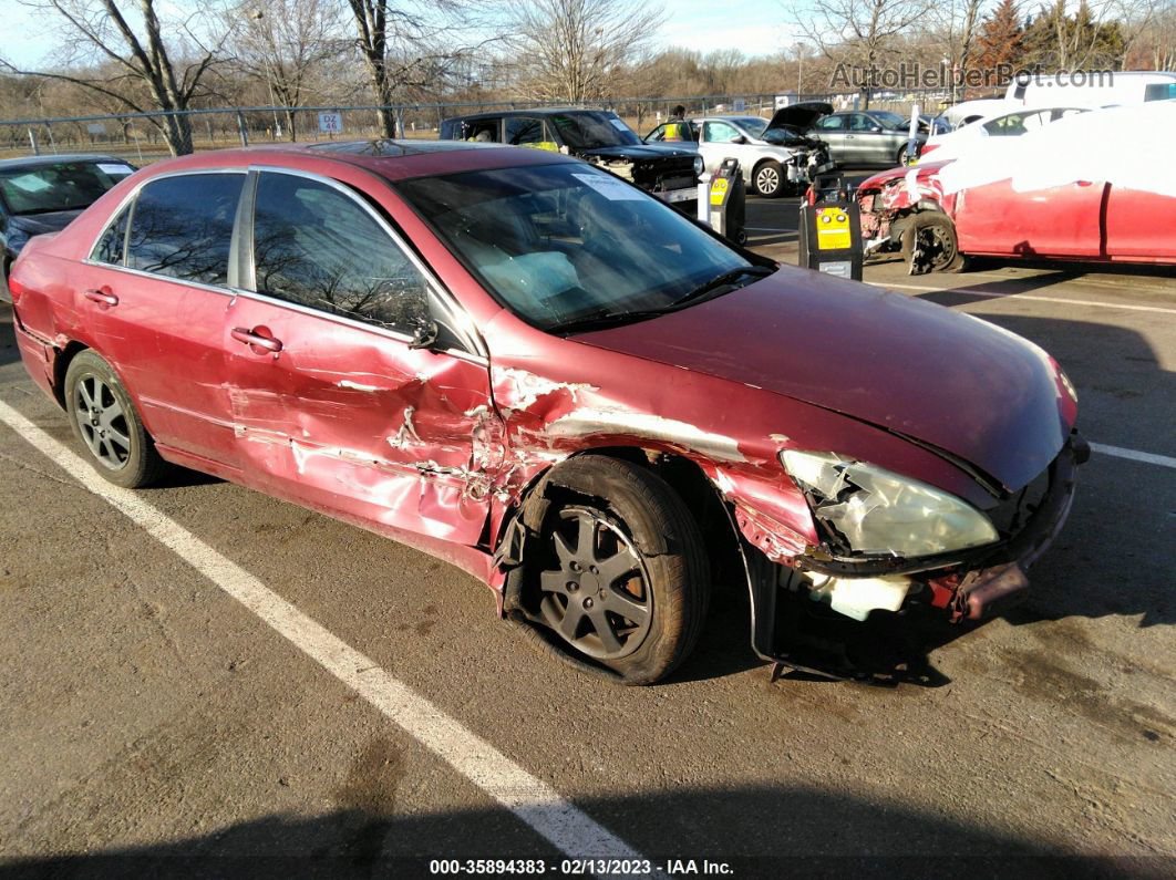 2005 Honda Accord Sdn Ex-l V6 Red vin: 1HGCM66535A030393