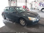 2005 Honda Accord Sdn Ex-l V6 Gray vin: 1HGCM66535A044231