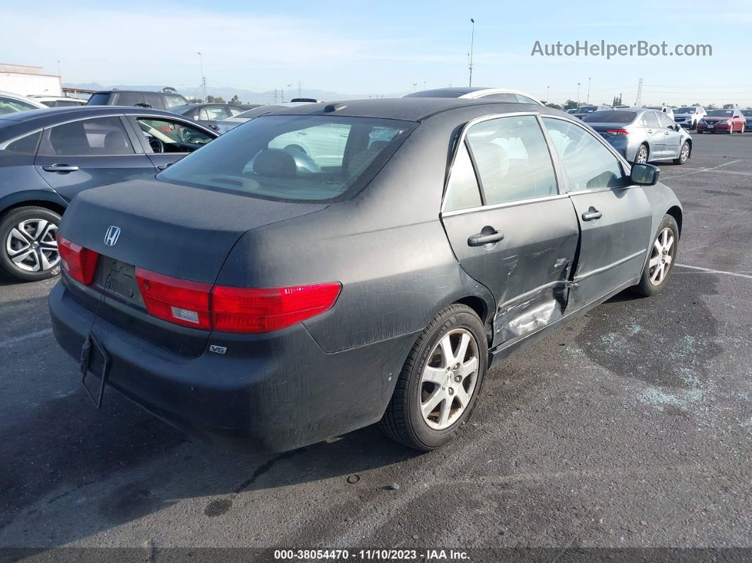 2005 Honda Accord Sdn Ex-l V6 Black vin: 1HGCM66535A047369