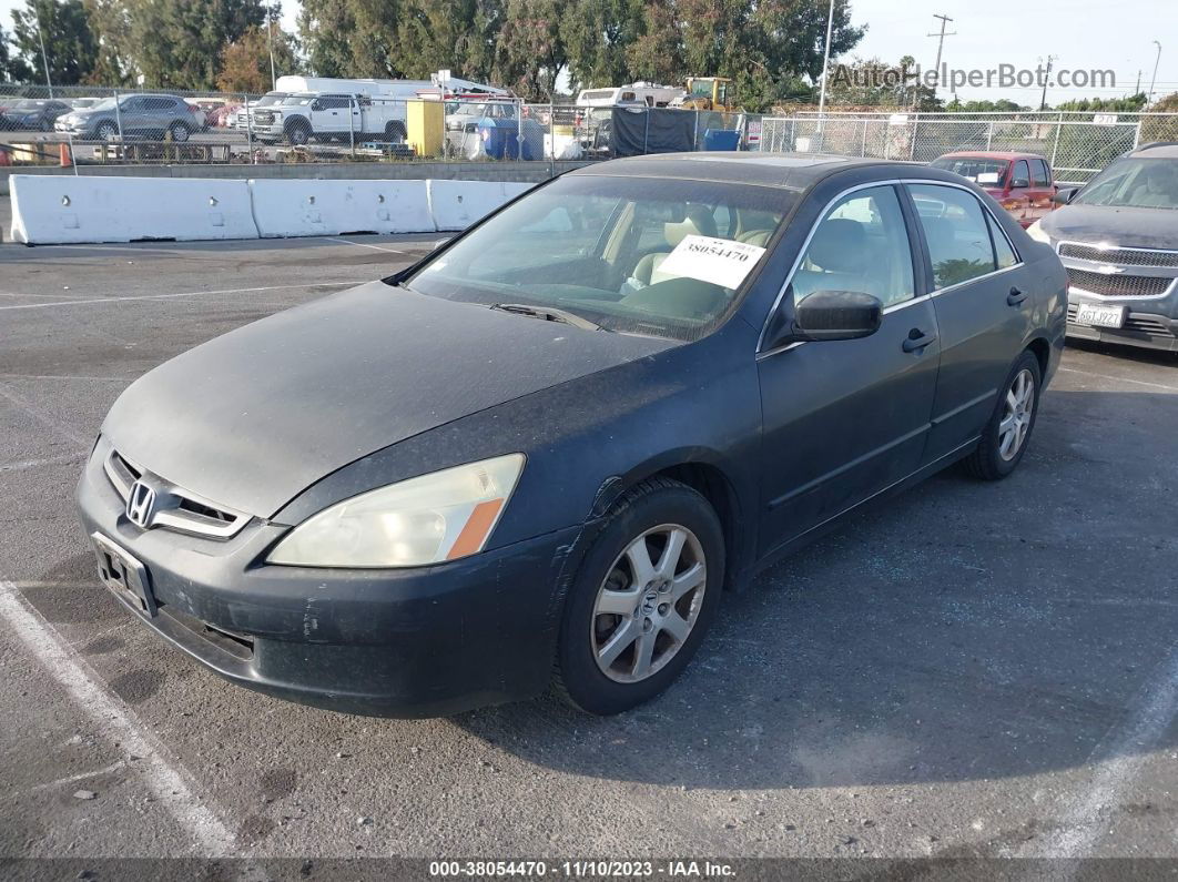 2005 Honda Accord Sdn Ex-l V6 Black vin: 1HGCM66535A047369