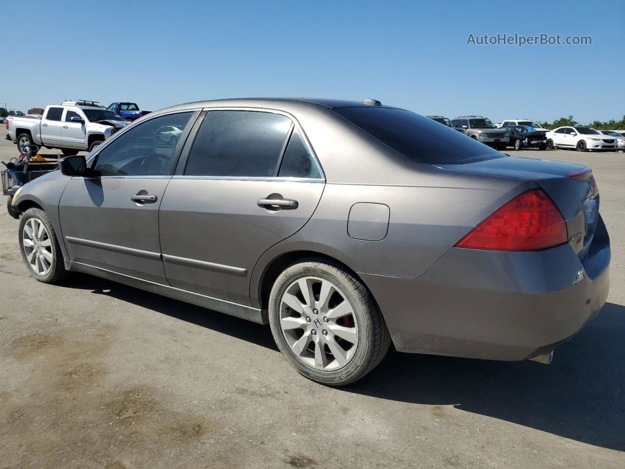 2007 Honda Accord Ex Gray vin: 1HGCM66537A033216