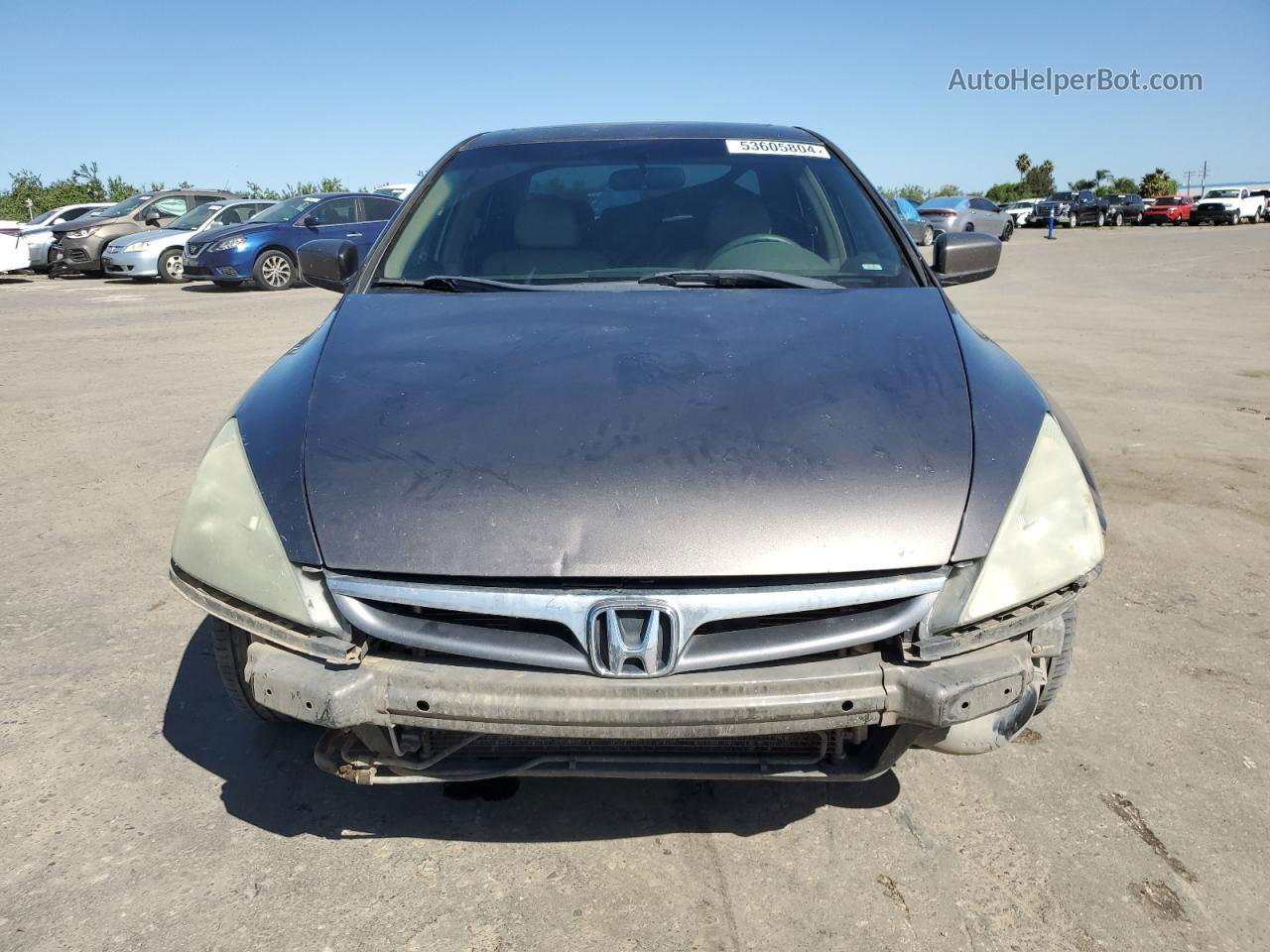 2007 Honda Accord Ex Gray vin: 1HGCM66537A033216