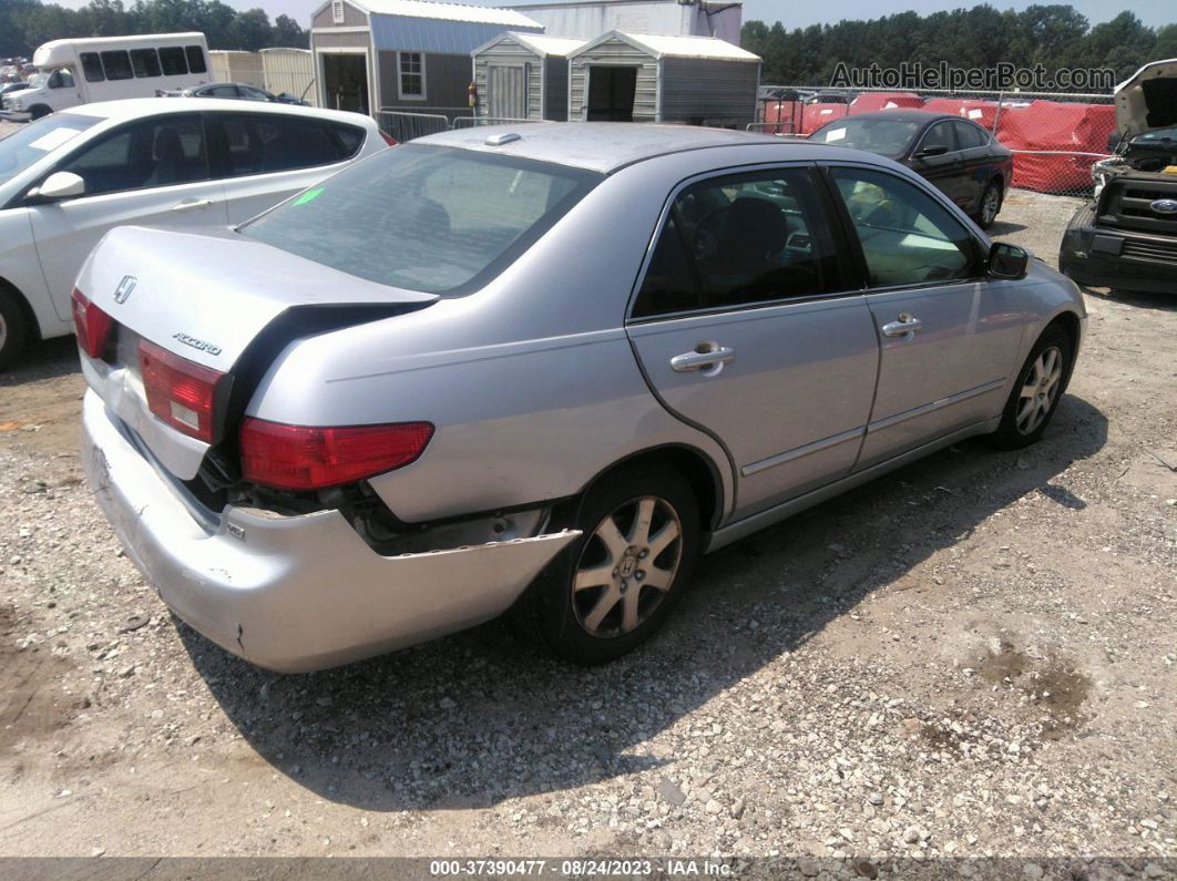 2005 Honda Accord Sdn Ex-l V6 Silver vin: 1HGCM66555A033702