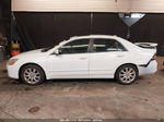 2007 Honda Accord 3.0 Ex White vin: 1HGCM66557A007572